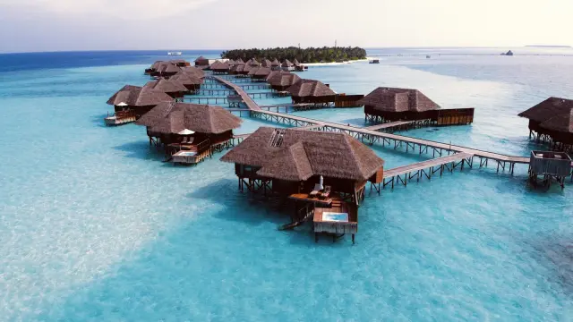 Maldive