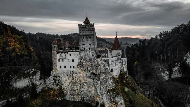 Transilvani